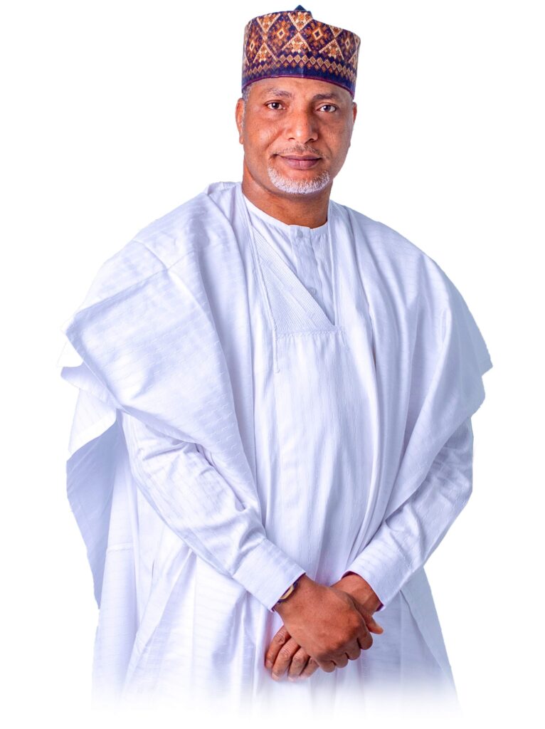 Biography of Saliu Mustapha NetWorth