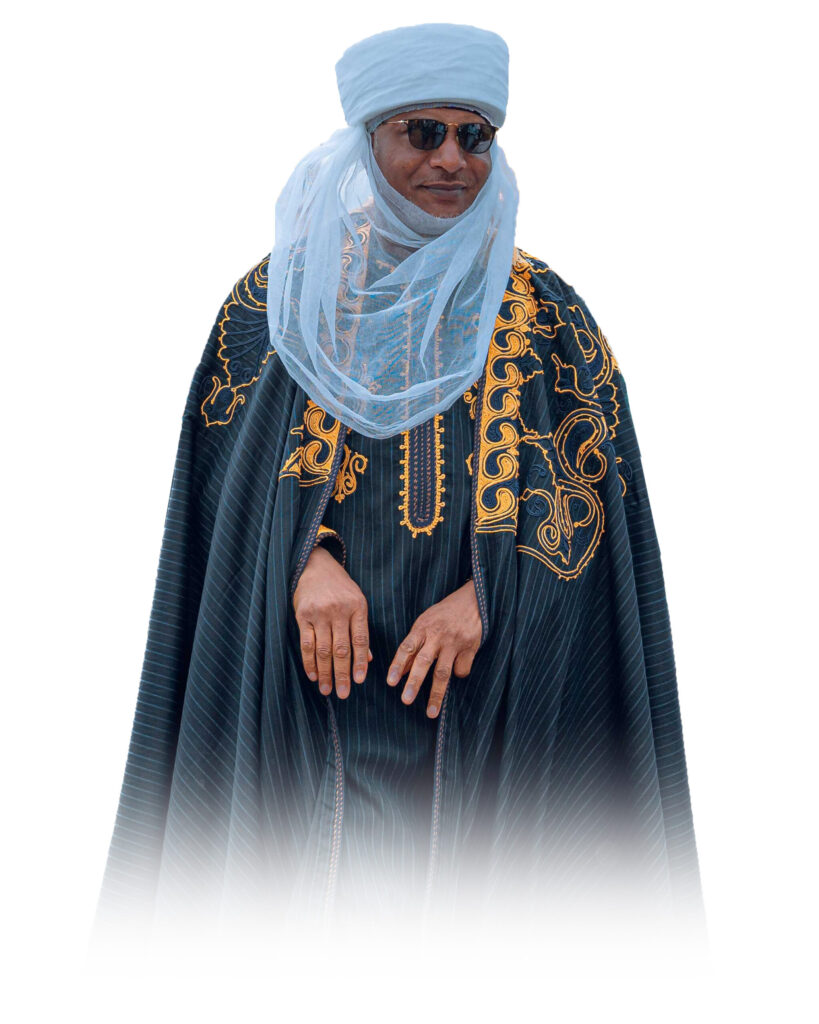 Biography of Saliu Mustapha NetWorth