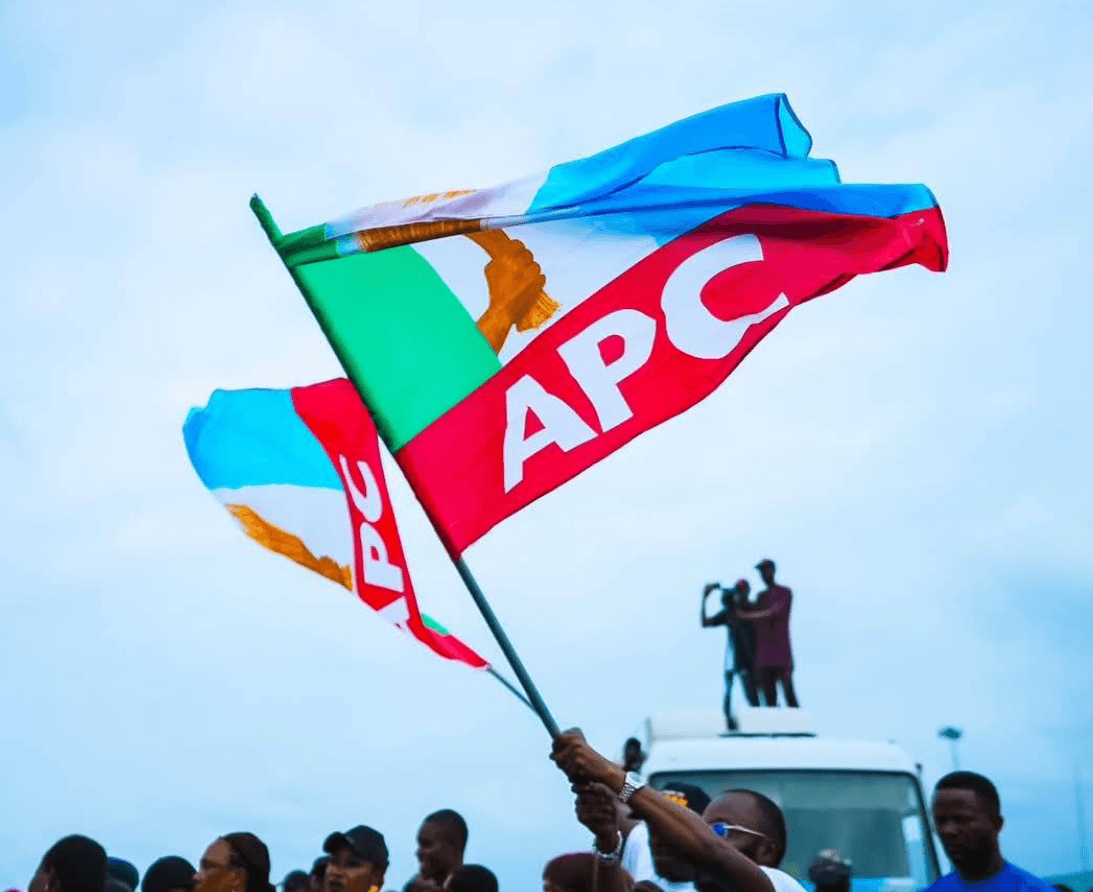 APC Flag