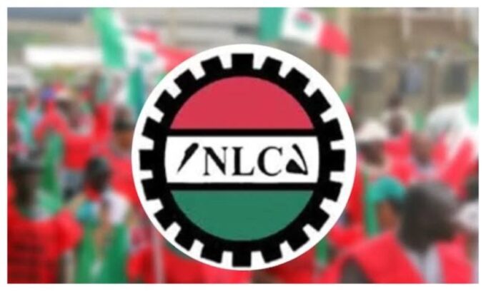 NLC 860x516 1