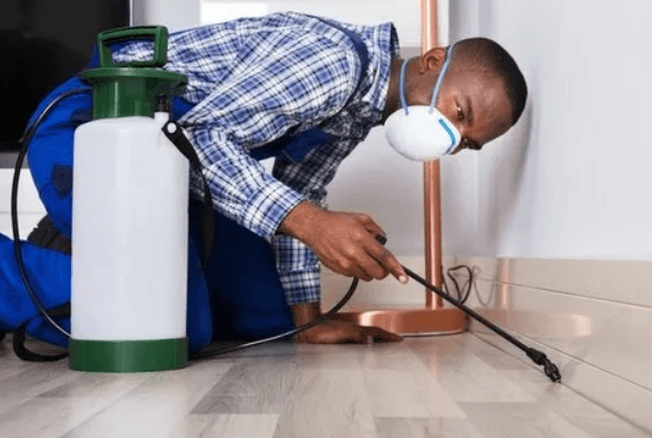 Top 7 Best Pest Control Companies in Abuja in 2026 2 Best Pest Control Companies in Abuja