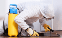 Best Pest Control Companies in Abuja